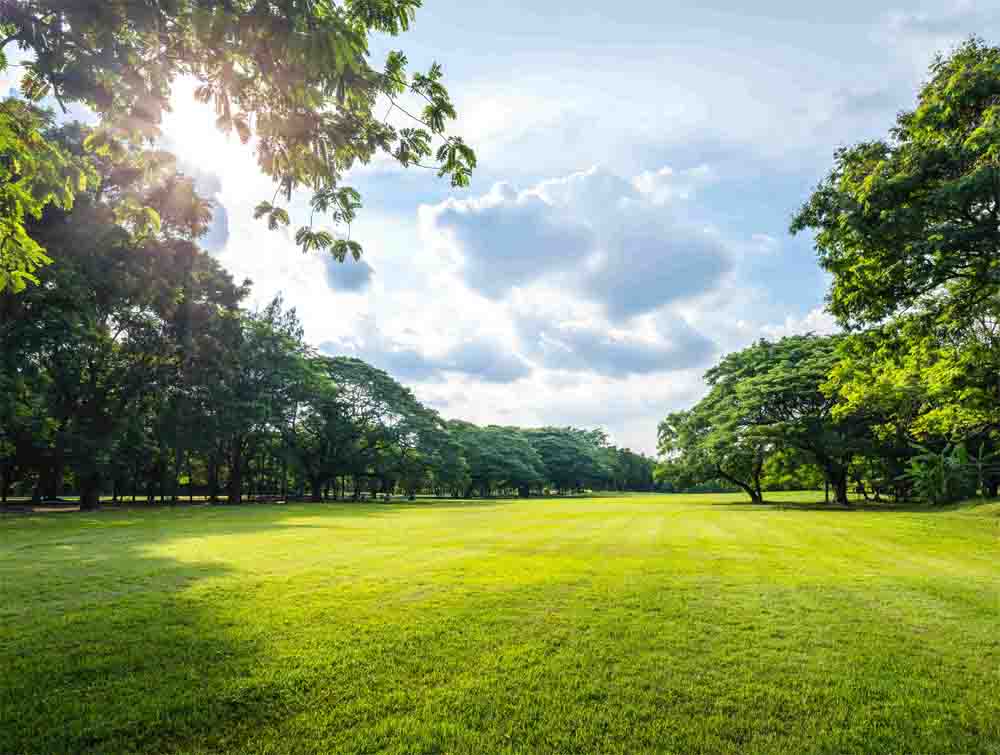 Sustainability @ Specialty Methacrylates - Creating possibilities for a sustainable world