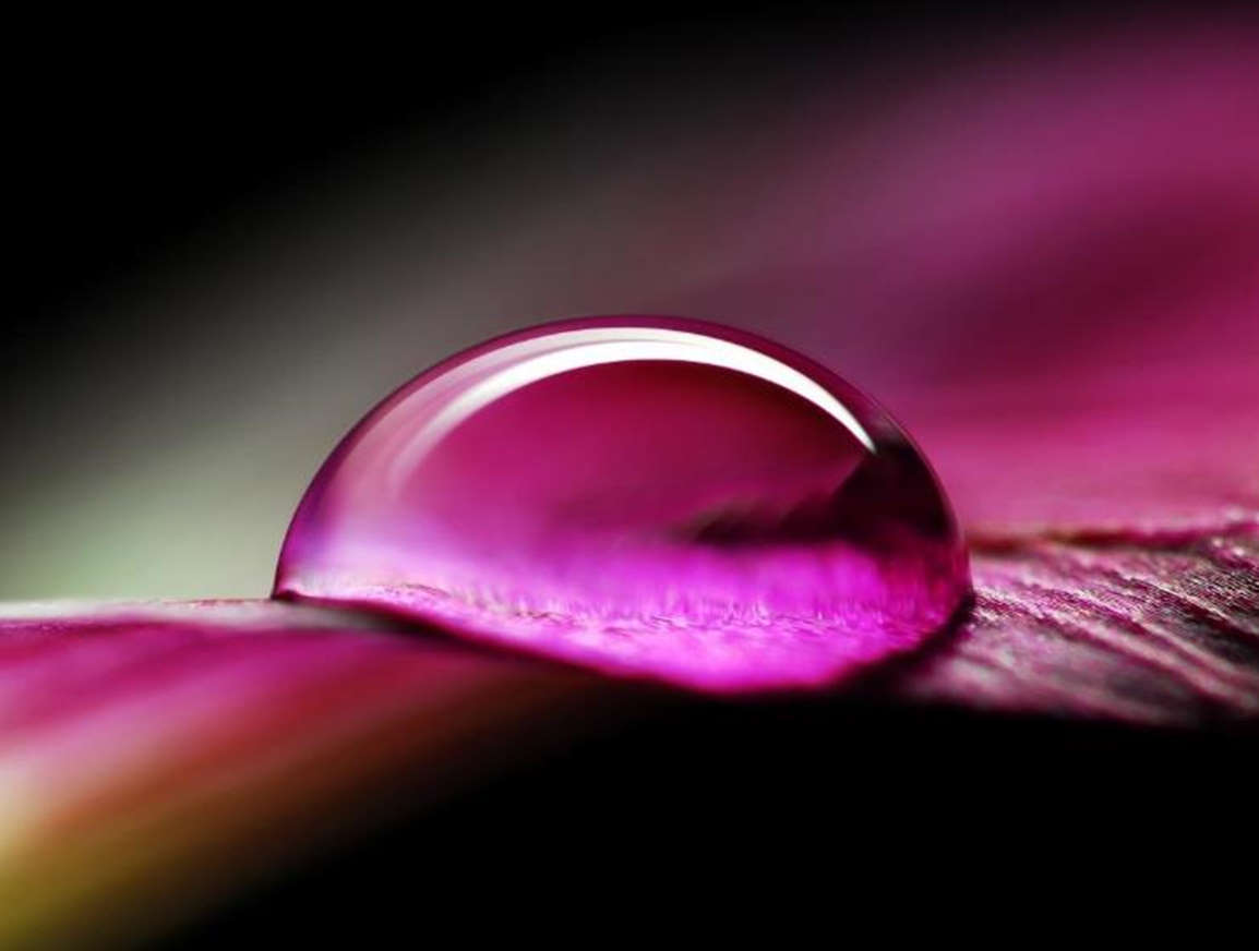 Navigating the Complexities of Wetting in Ink and Coating Formulations