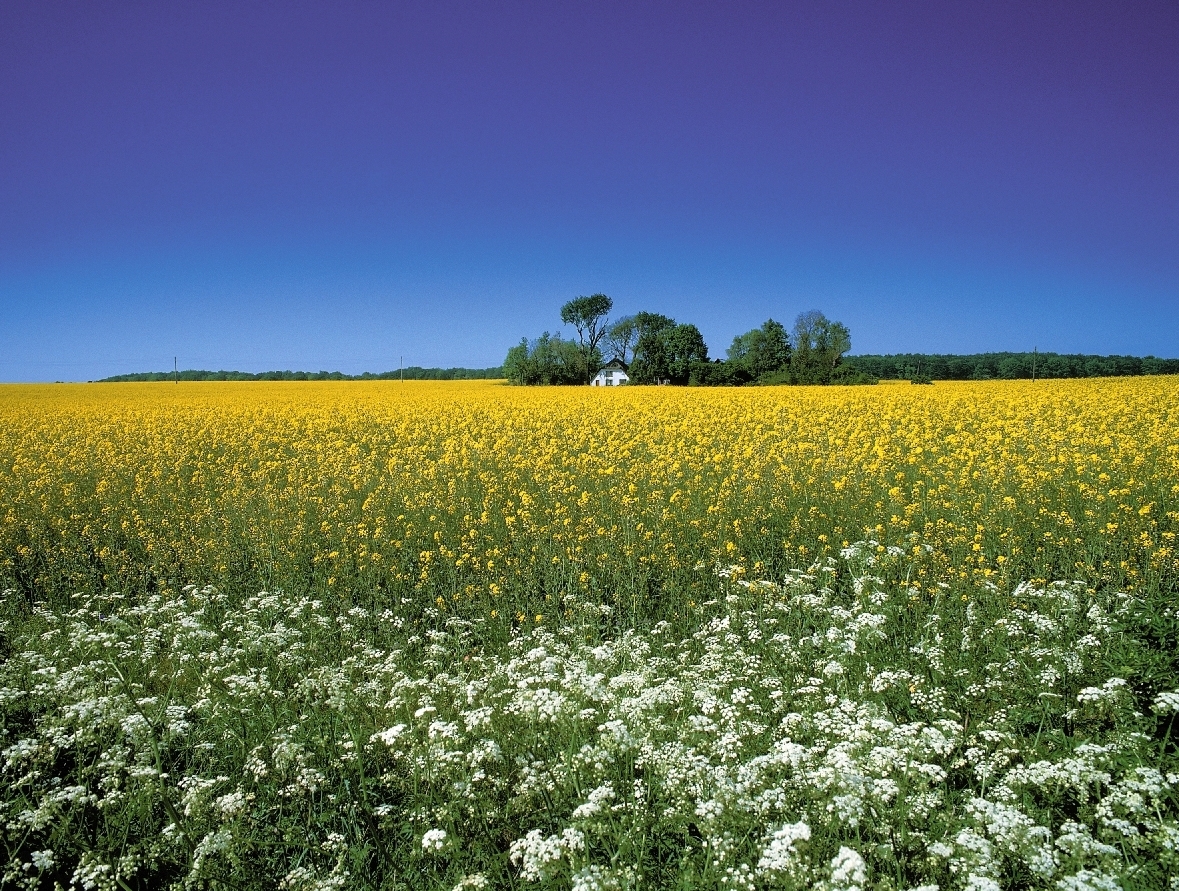 TEGO® Foamex 8820 and 8850 - green defoamer concentrates