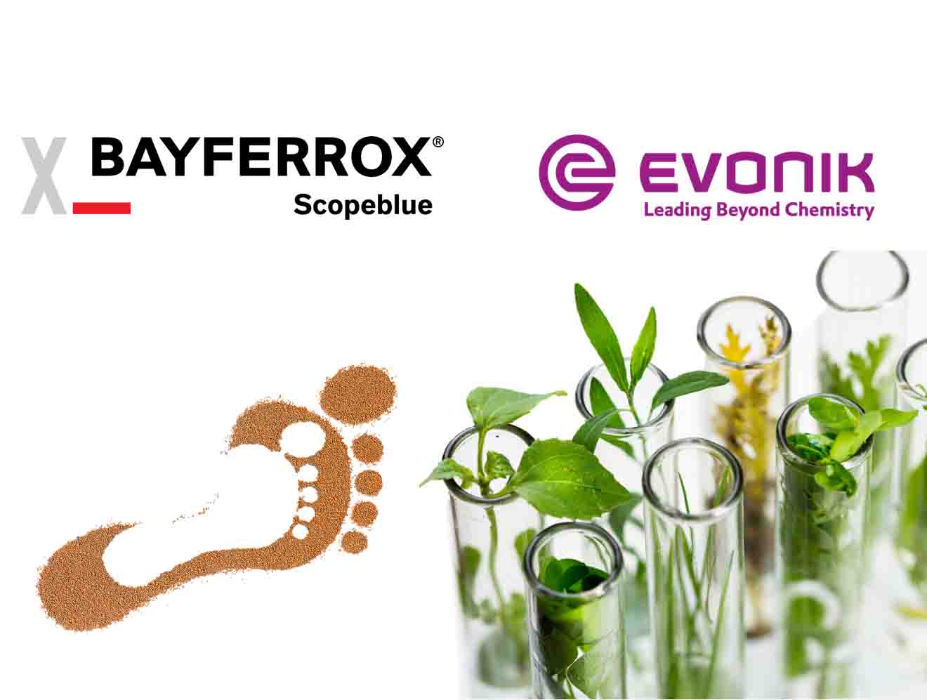 Coloring the Future: Low-Emission Sustainable Pigment Concentrates with Iron Oxides & Biosurfactants