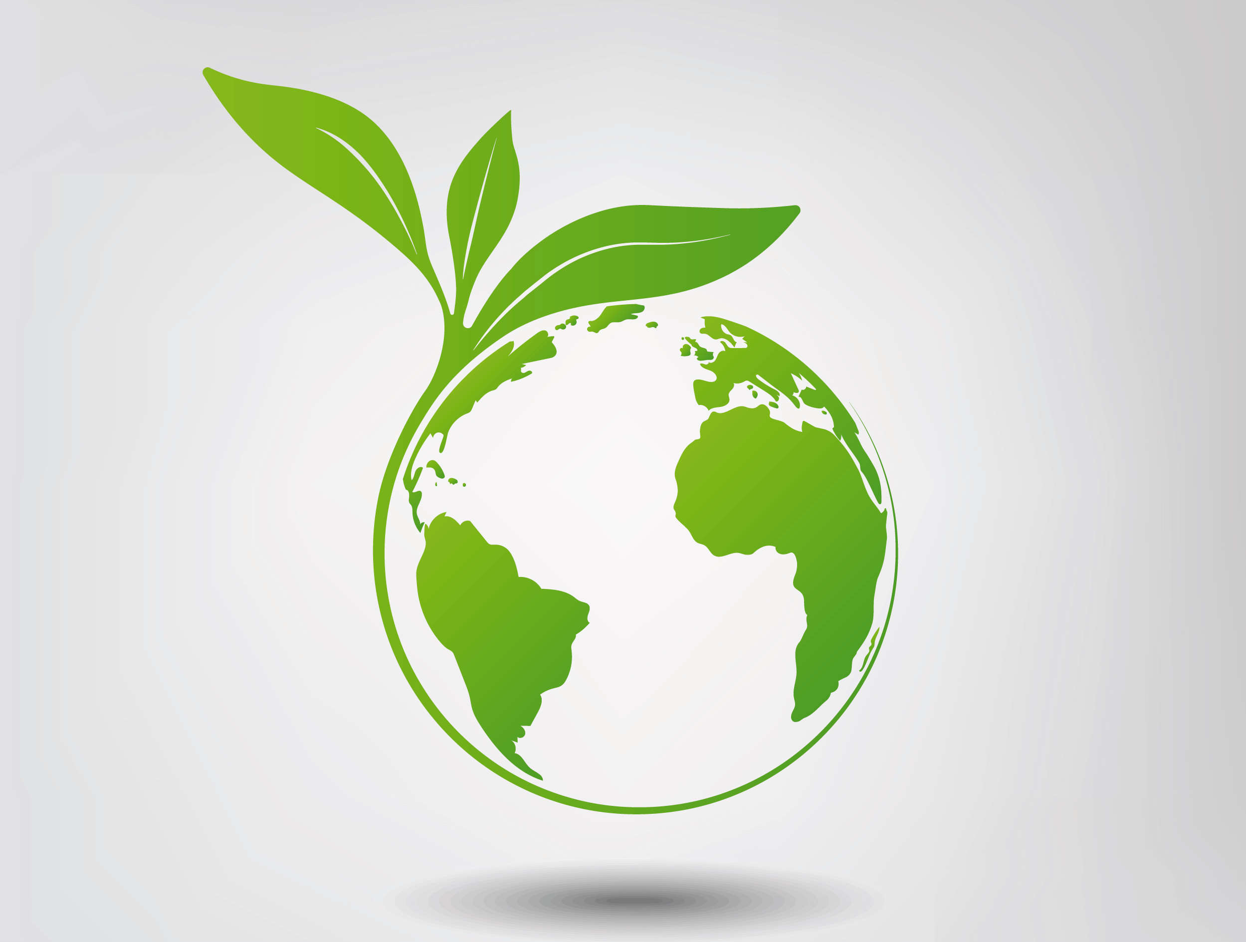 NISO curing - Protection without compromise